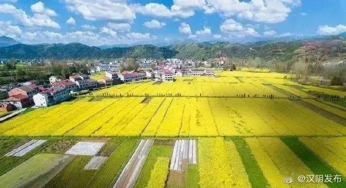 安康2021人口_幸福安康图片2021