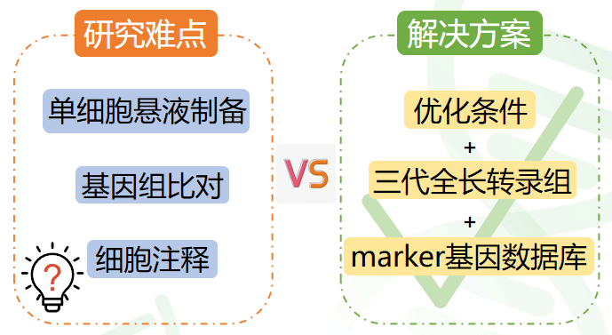 【直播讲座】非模式物种单细胞转录组研究难点及解决方案
