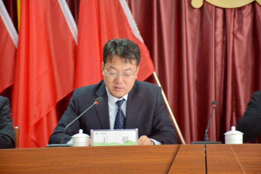 回顾总结奖先进鼓舞斗志再出发诸往镇召开2020年度工作总结表彰大会