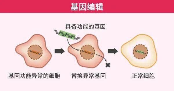 乳糖不耐症佔人口比例_乳糖不耐症大便照片(2)