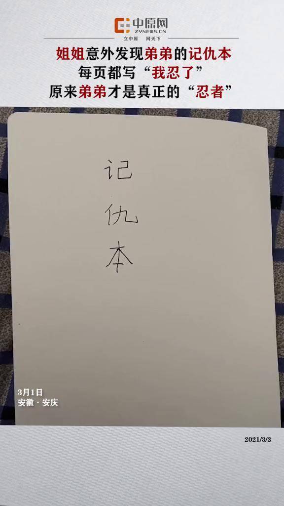 姐姐发现弟弟暗藏记仇本每页都写我忍了才发现原来弟弟才是真正的忍者