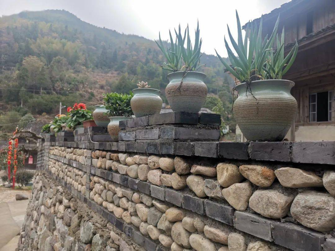 艺术碰撞黄坛镇弘杨村擦出振兴乡村火花村庄一天一个样