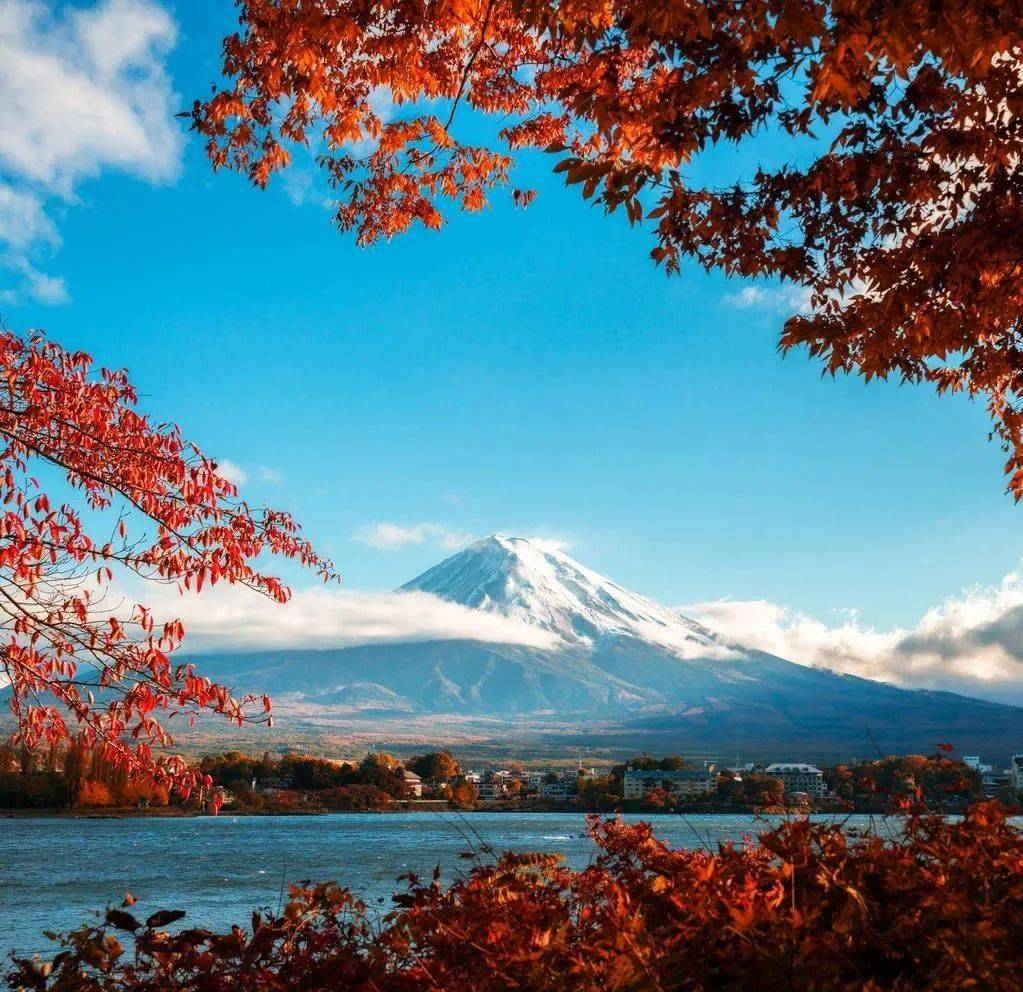 季节交相辉映山下红枫山顶白雪秋一片生机盎然夏天的富士山蓝天白云