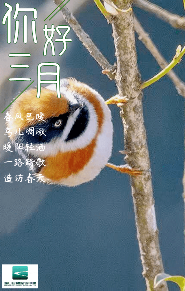 34c89750b6044d89a08cbe025277bbcd.png