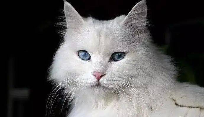 42d699cb26d44fec988faeeba2f531a6.jpeg