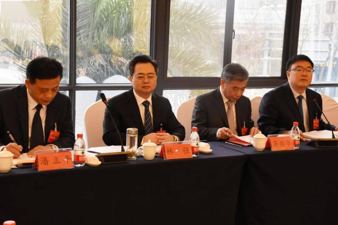 3月2日,市委副书记,代市长林强先后前往大溪代表团,箬横代表团和城南