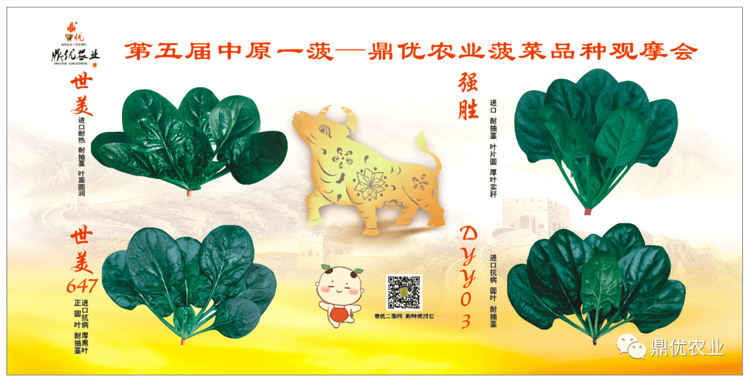 鼎优菠菜——3月5日，我们不见不散！