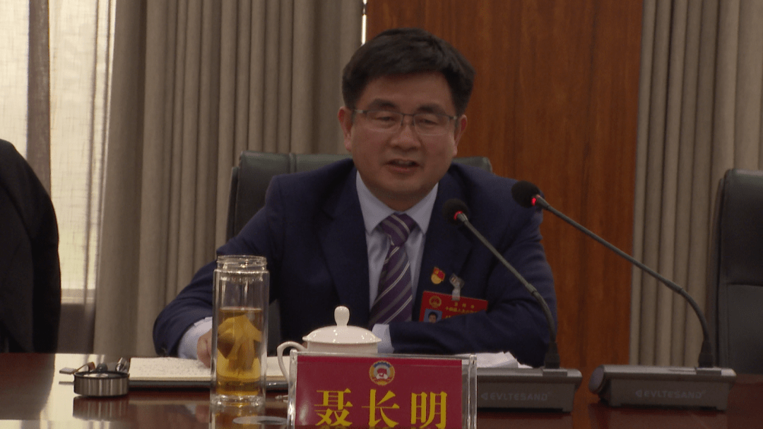 聚焦两会卫辉各界人士热议两会报告畅谈感受体会