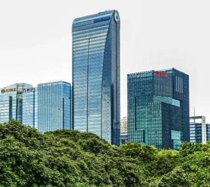 深圳精英人口_深圳人口(2)