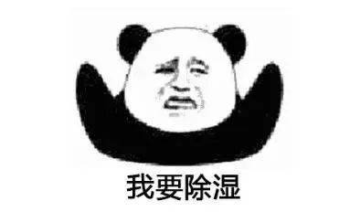 b9af35a1d66148278147451fdd13440d.jpeg