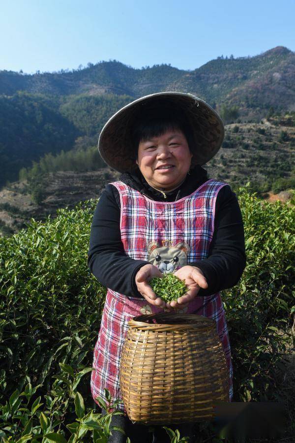 了不起的她——山乡村嫂成为致富能手