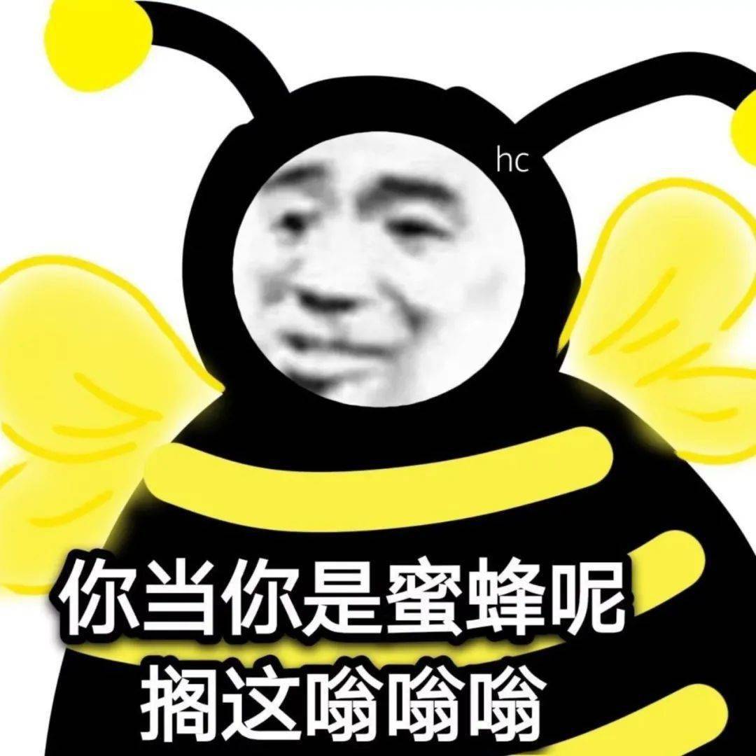db4c0a63adee421d968adc008f1218ef.jpeg