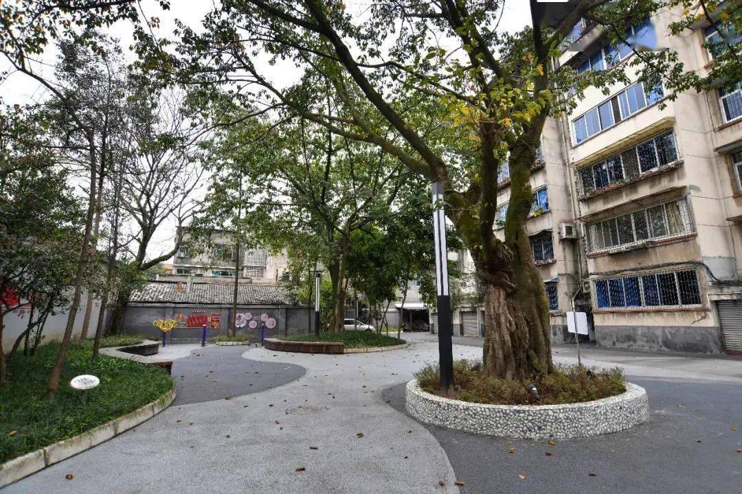 人民日报点赞眉山老旧小区换新颜日子比蜜甜