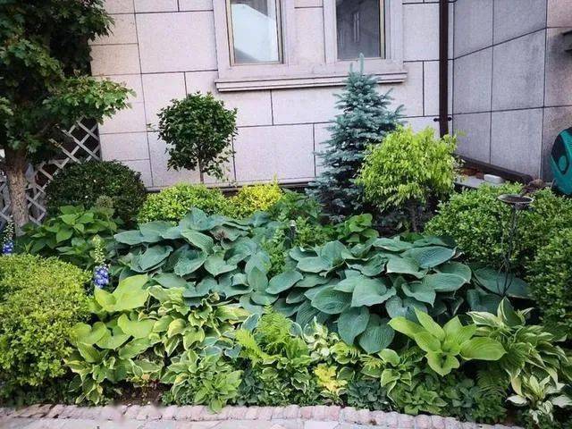 成语什么花境_成语故事简笔画