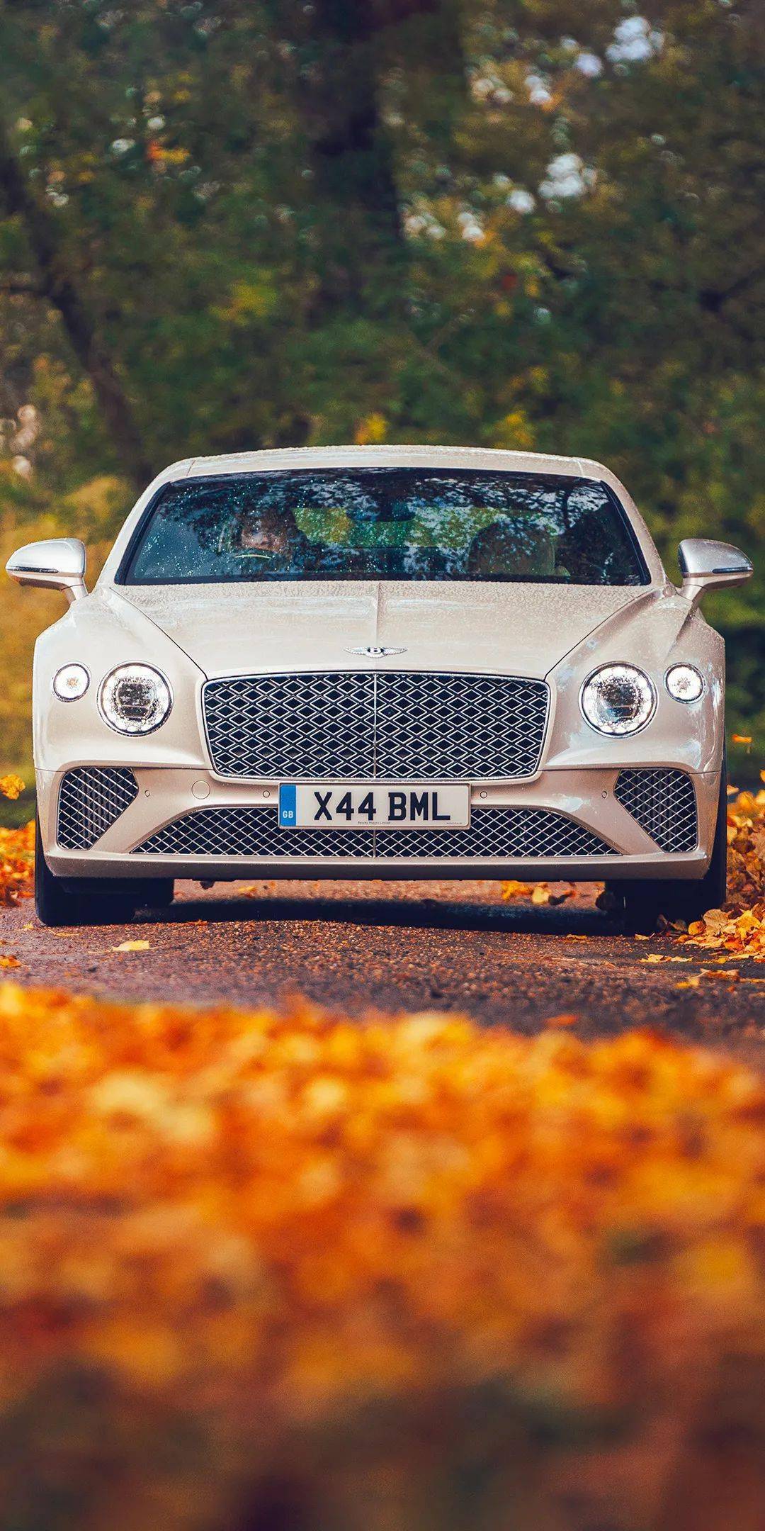 图:豪车很贵,但也很美_搜狐汽车_搜狐网