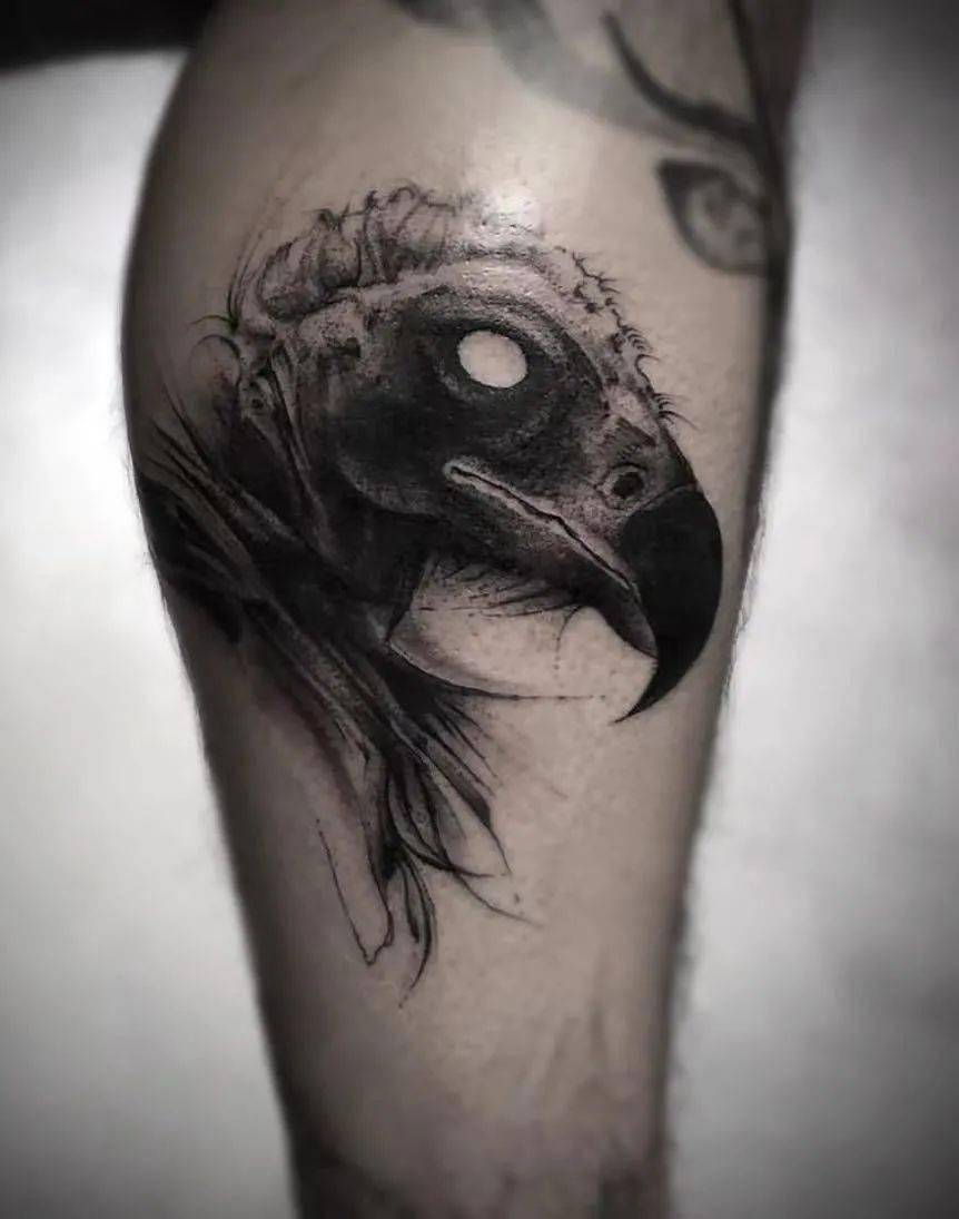 食腐动物秃鹫纹身
