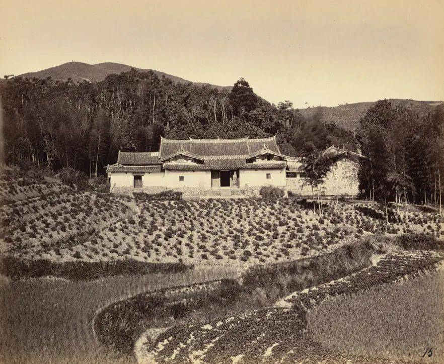 老照片场 | 爱喝茶的老铁,带你看看150年前的武夷山
