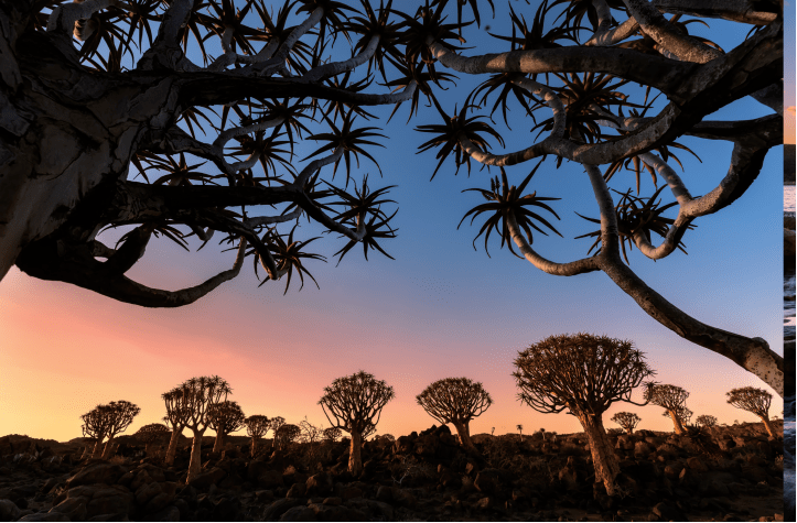 妙用前景让的照片更有层次感和感染力