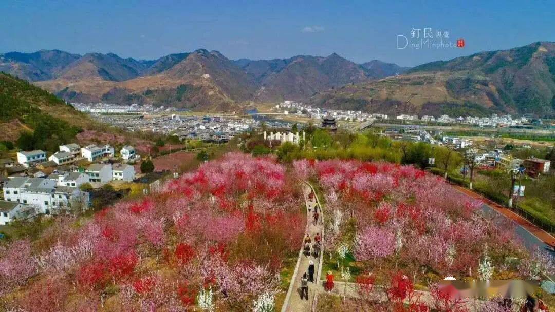 春暖花开丨桃花谷景区恢复开园啦