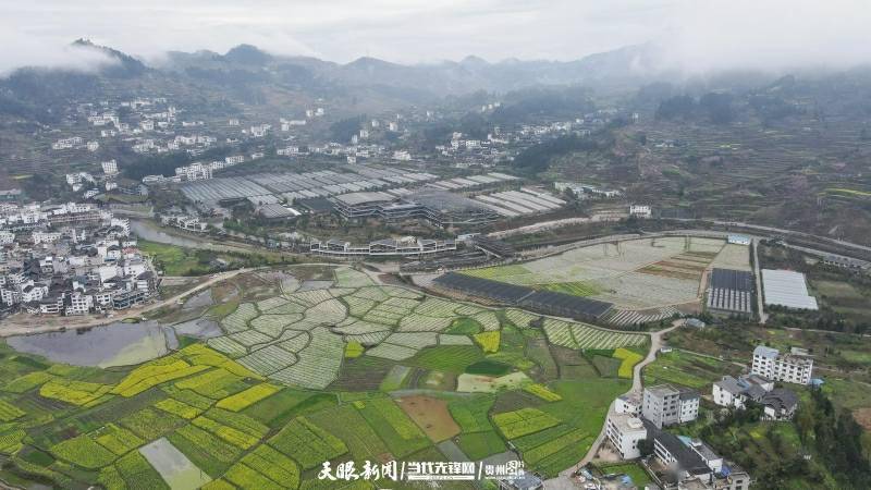 跟著航拍鏡頭打開多彩田園畫卷