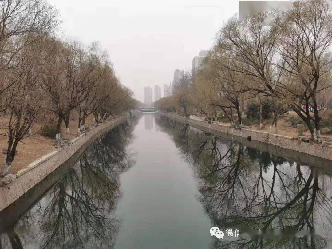 张明|评2021年两会《政府工作报告》