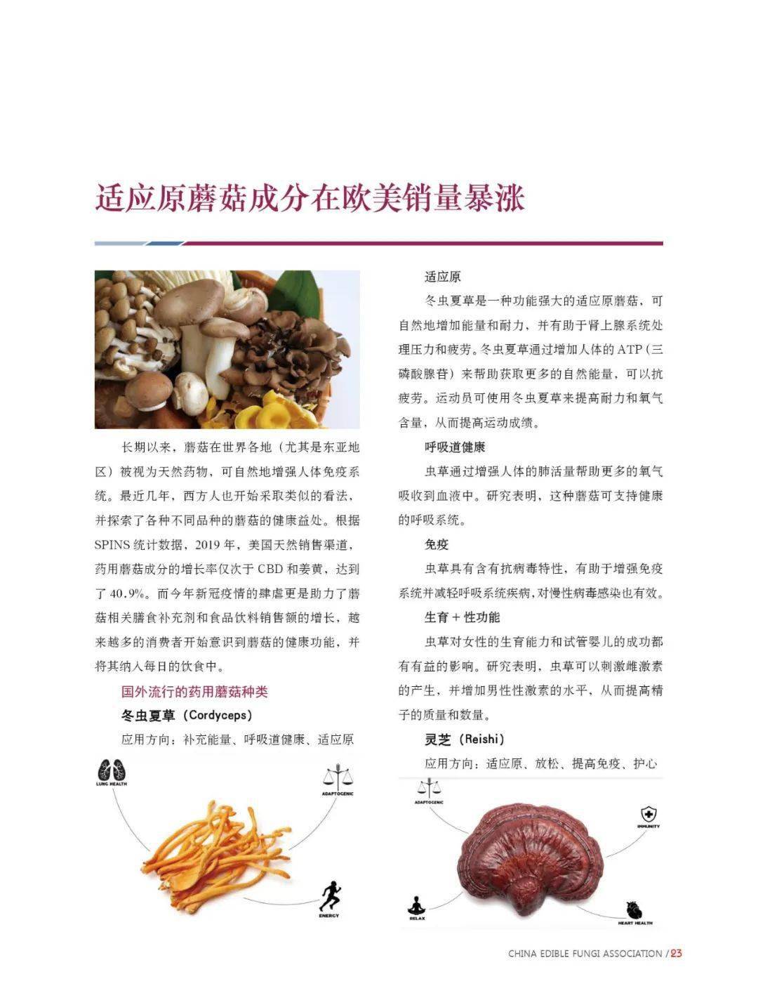 食用菌招聘_食用菌信息月刊 2021年3月第3期总第429期