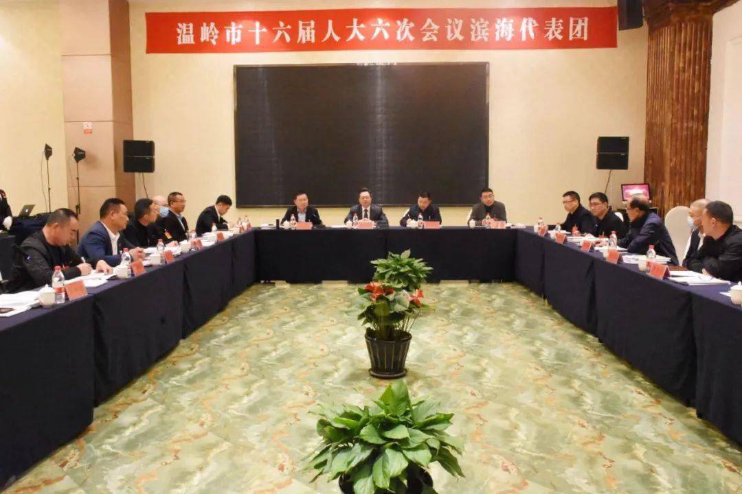 林强参加石塘,滨海,泽国,松门,新河,温西片,城区一,城区二,城区三代表