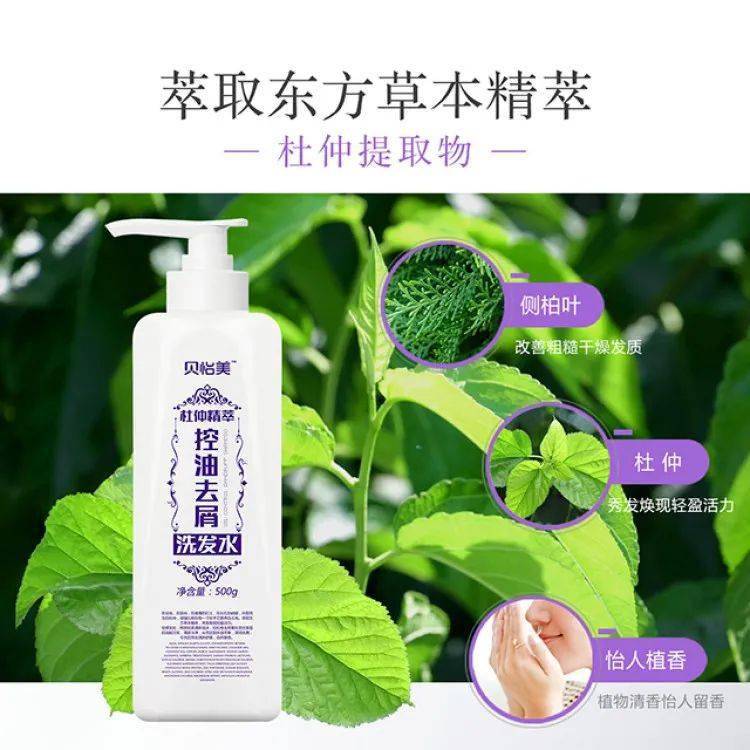 产品简介⑦《滋养修护洗发水》:内含独有杜仲提取物,侧柏叶提取物