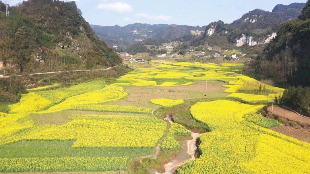 周末约你去看花目的地筠连县丰乐乡卜好村