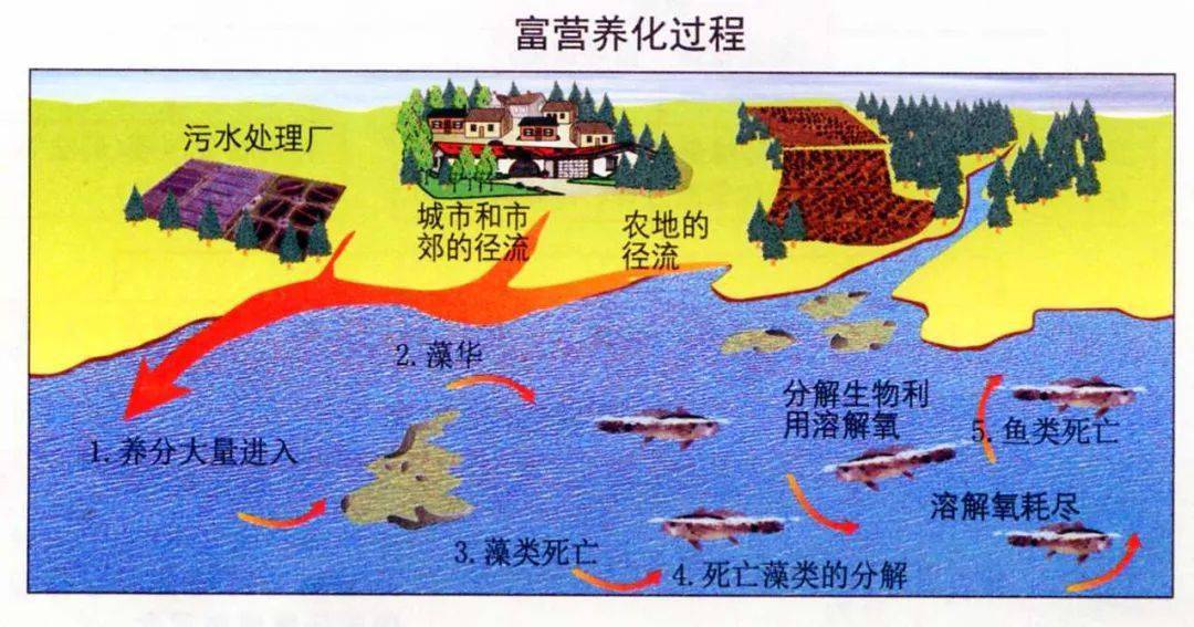 四大人口稠密区及原因_四大人口稠密区图片(2)