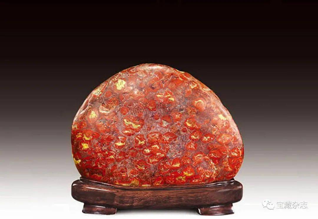 三月石上花开竟如此美丽