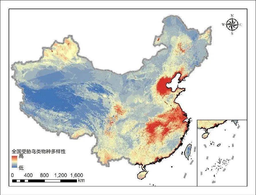 黄胸鹀(韦铭/摄)综合受胁鸟类空间分布和鸟类多样性空间分布,获得中国