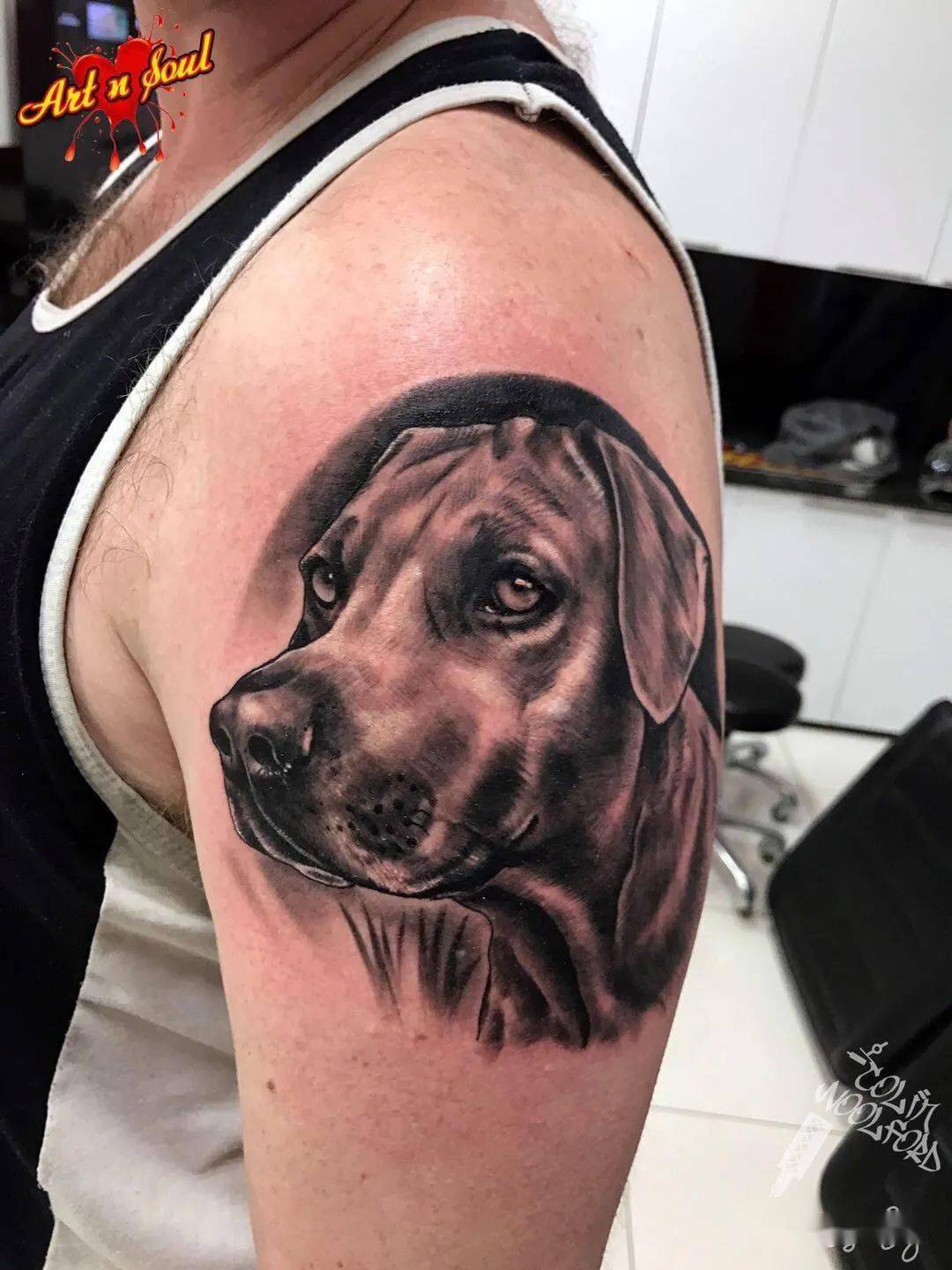 狗狗身上纹身图片