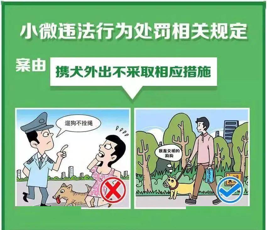 指的是市民个人违反城市管理领域相关法律法规,虽然情节轻微却影响