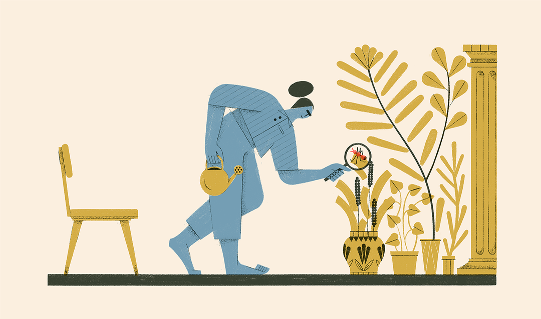 77位插画家入选2021年博洛尼亚插画展13位中国插画家榜上有名