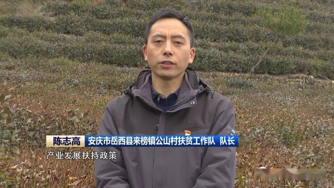 安庆市岳西县来榜镇公山村扶贫工作队队长 陈志高我们希望出台更多的