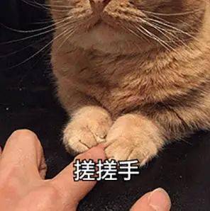 高明区2021人口_高明区地图(2)