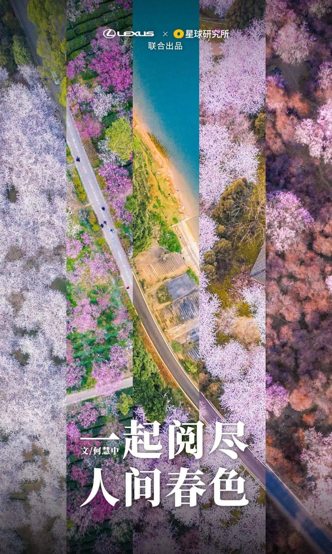 来了！中国赏春地图