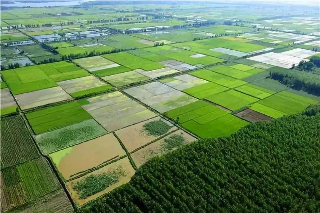 农业农村主管部门:为适应农业现代化发展趋势,改进设施农业用地管理