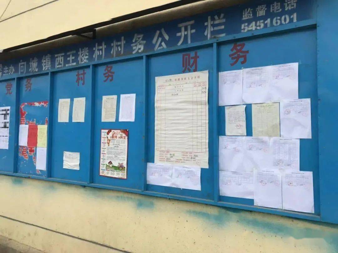 向城镇,新兴镇,兰陵镇,南桥镇建设督导检查情况通报