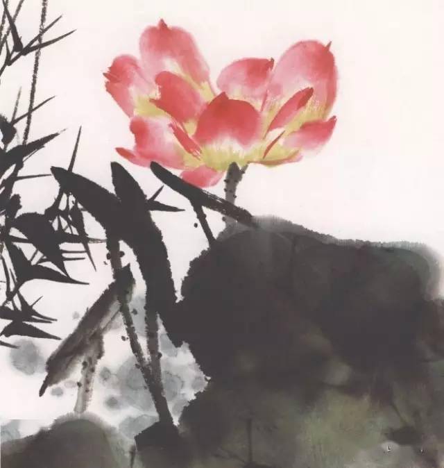 写意荷花的画法详细到位