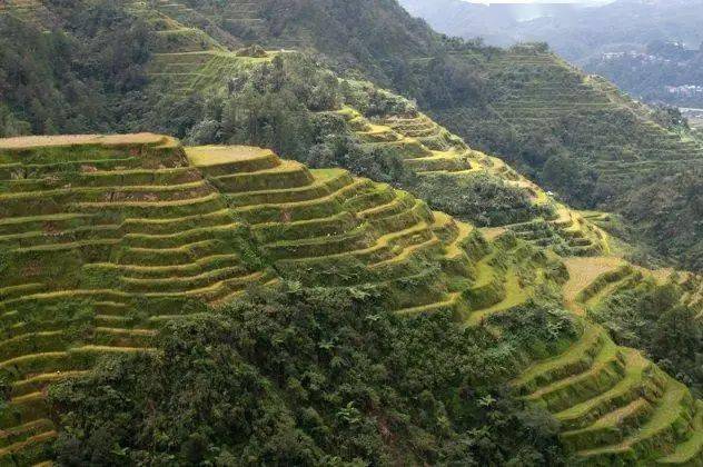 ifugao(菲律宾一民族)水稻梯田是菲律宾最有价值的文化和考古宝藏之一