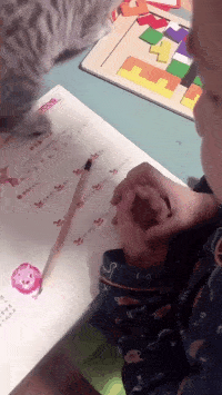 熊孩子算个数手指不够猫爪来凑