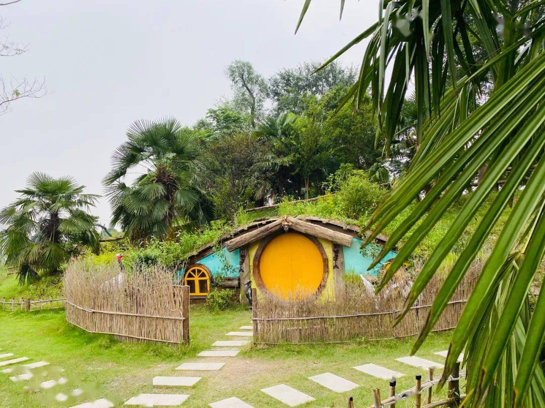 租吸氧机怎么收费¥699起睡云端凯悦酒店，打卡上海最美图书馆&网红剧院！_https://www.jmylbn.com_新闻资讯_第75张