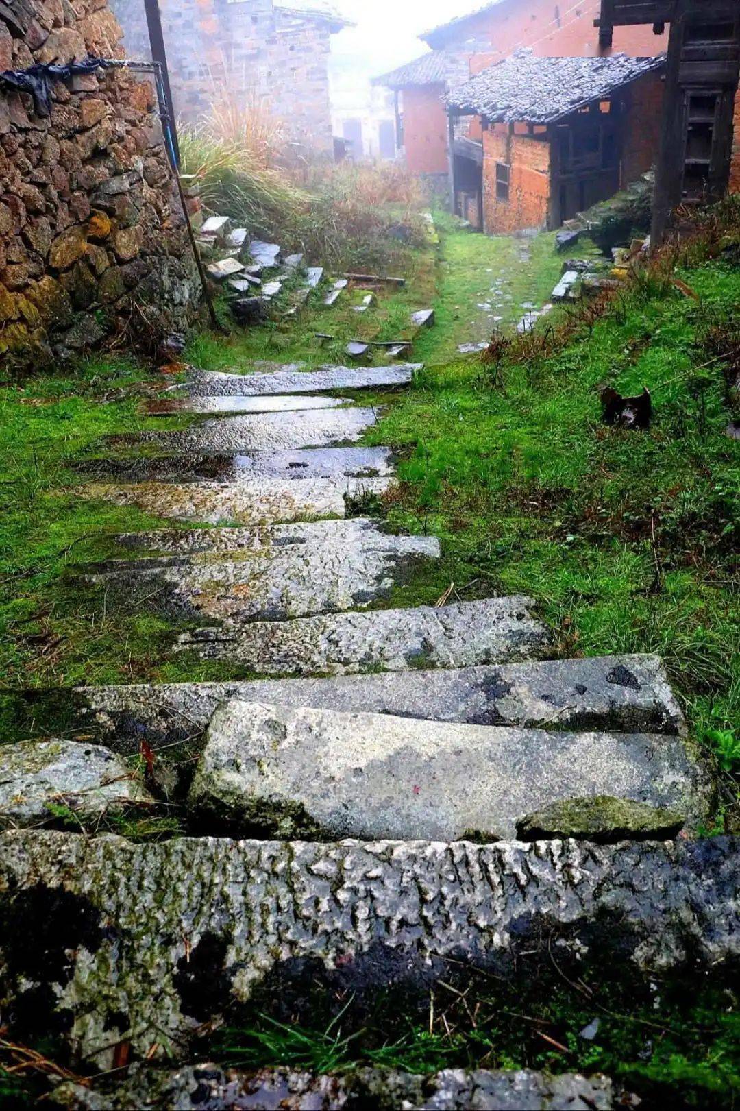 美文赏析被时间封存的地方稠溪古村