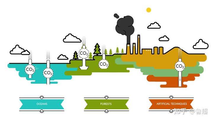 首先我们要注意一个"碳汇"(carbon sink)的概念,意为:通过天然或人工