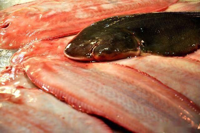 走在海鲜市场里,发现海里的鱼都有一个特点,身子长地特别扁,眼睛只在