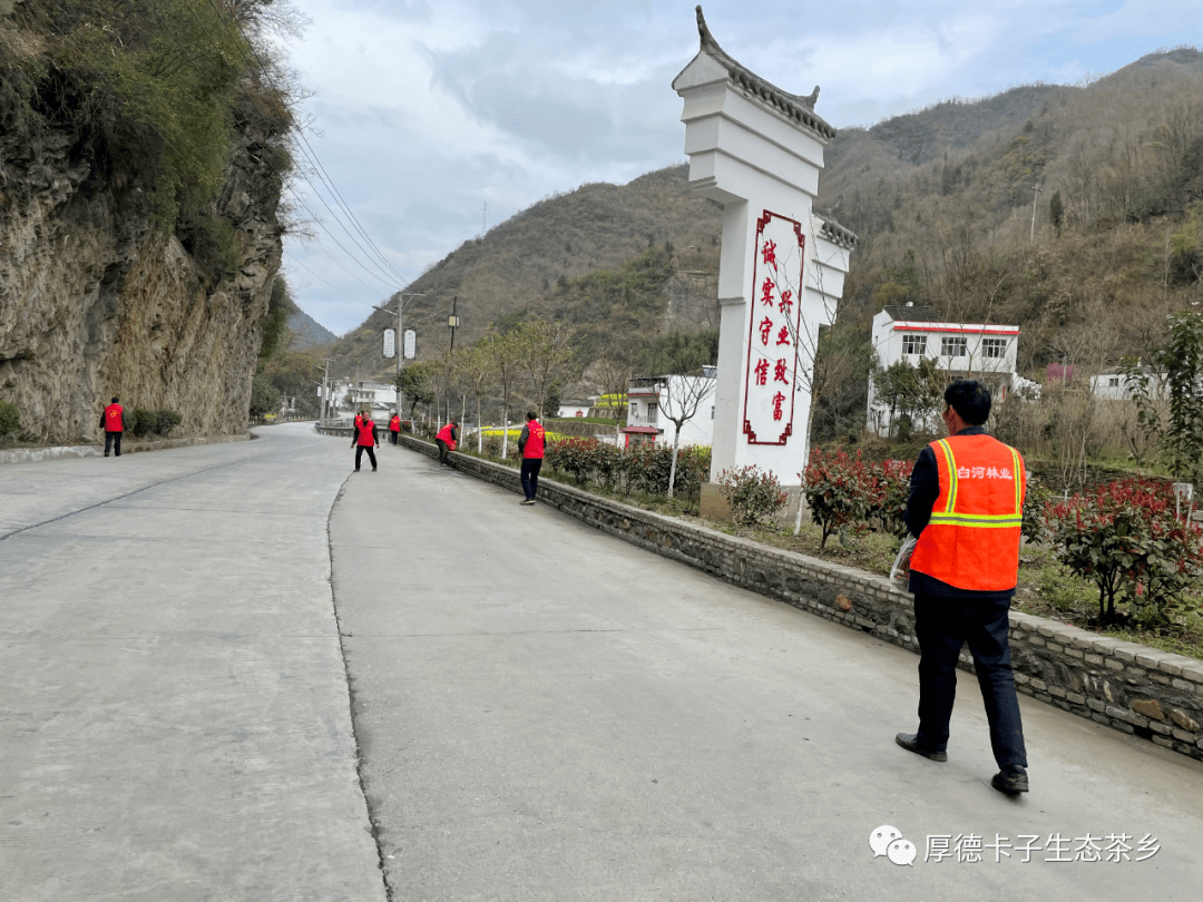 卡子镇机关干部带头开展学雷锋志愿服务活动