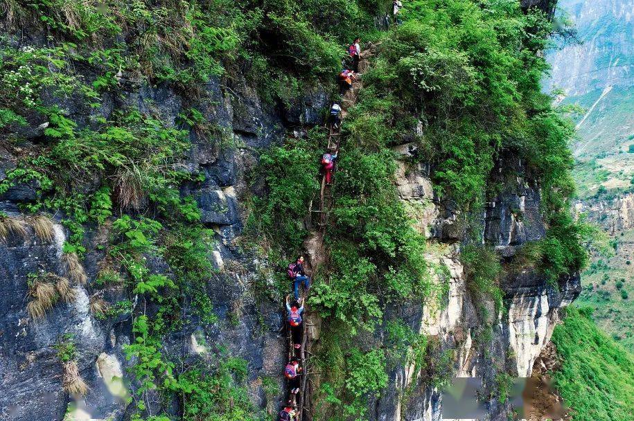 乡村振兴，让我看到了中国最美的景色