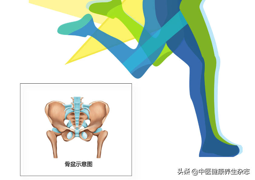 短视频里被科普泛滥的骨盆前倾究竟是怎么回事坚持练习几个动作帮骨盆